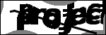 Text per identificar