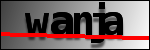 Text per identificar