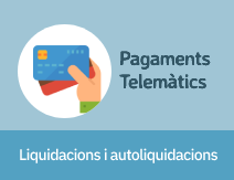 image-of Pagaments telemàtics