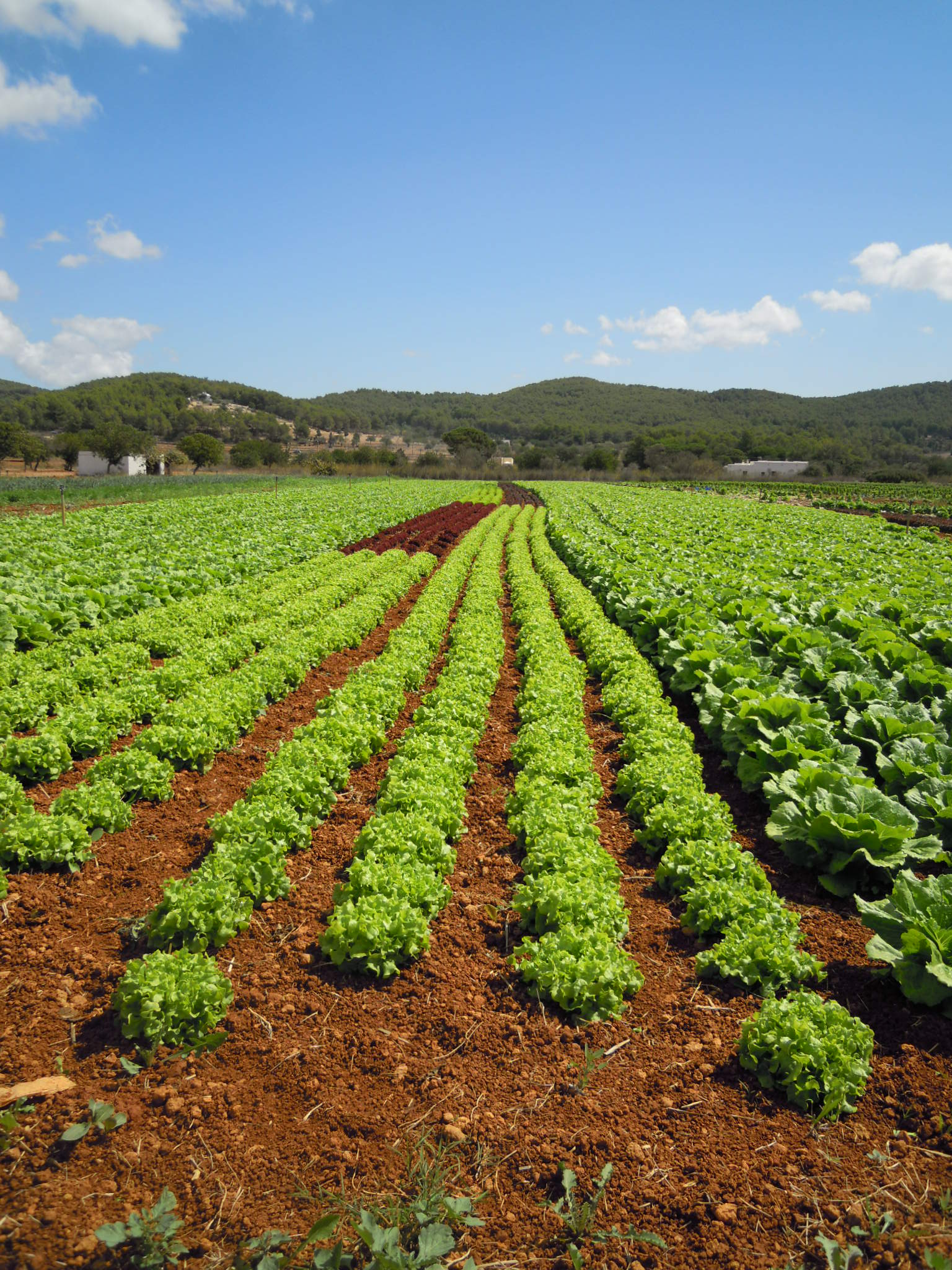 image-of Agricultura, Ramaderia, Caça i Pesca