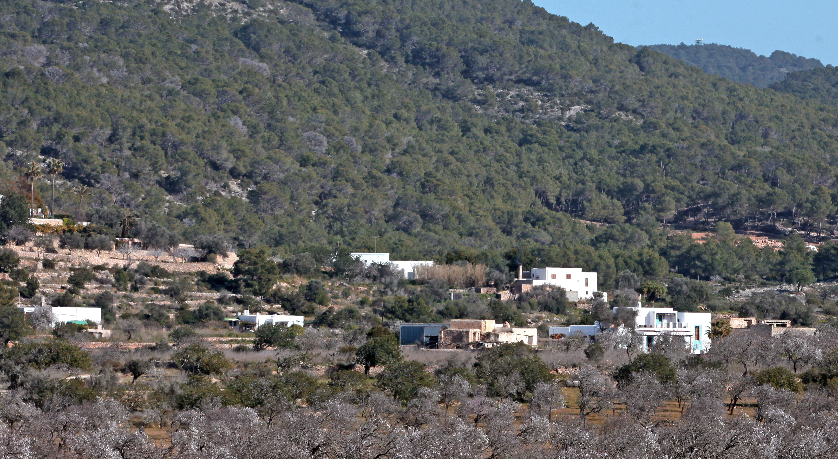 image-of Ordenación del territorio (PTI)