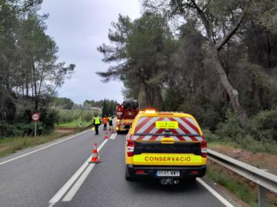 Imagen Bombers d’Eivissa realitzen 119 sortides per les incidències provocades...