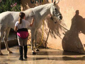 Imagen El Consell Insular d’Eivissa obri les inscripcions del curset d’iniciació a l’hípica 2026 dirigit a l’edat escolar