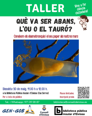 Imatge La Biblioteca Pública Insular d’Eivissa ofereix el taller ‘Què va ser...
