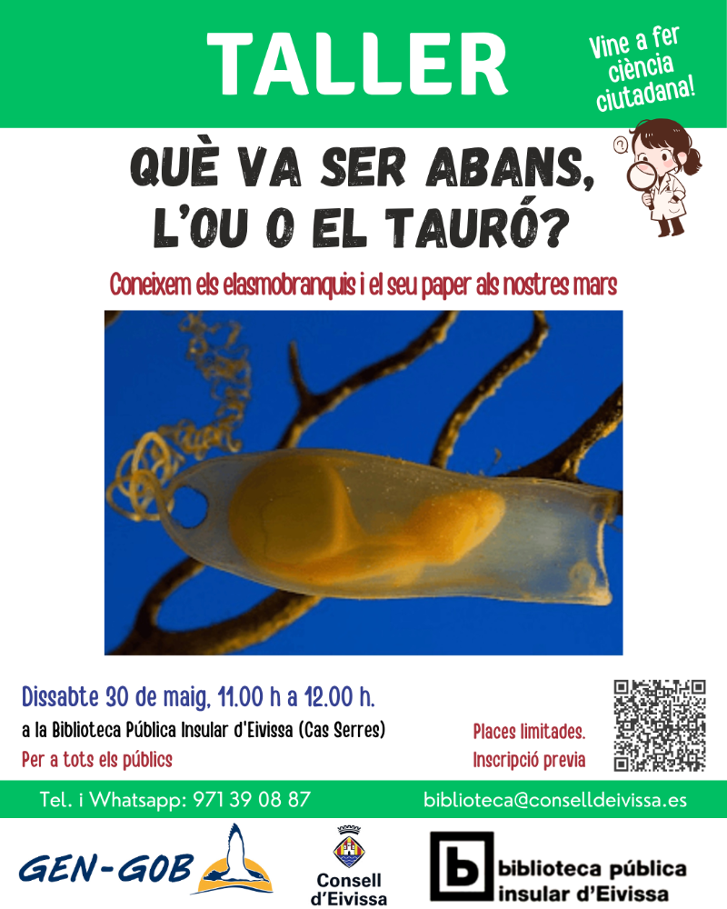 Imagen La Biblioteca Pública Insular d’Eivissa ofereix el taller ‘Què va ser abans, l’ou o el tauró?’