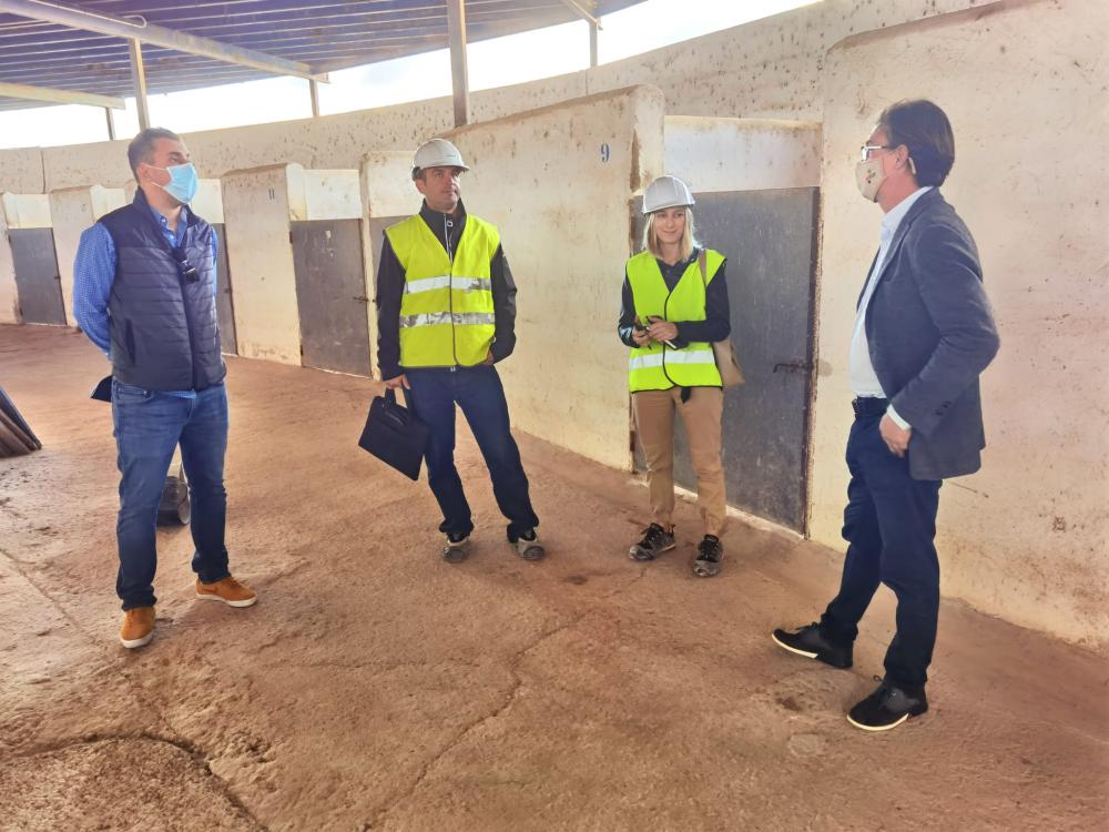 Imagen Empiezan las obras de adecuación de los boxes del hipódromo de Sant Rafel