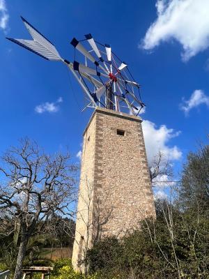 Imatge El Consell d’Eivissa obre la convocatòria 2025–2027 d’ajudes per...
