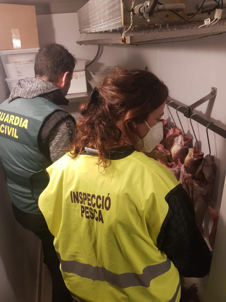 Imagen Un dispositivo conjunto para el control de pesca recreativa y profesional en Eivissa permite el control de exceso de capturas con sanciones que van de los 151 a los 30.000 euros