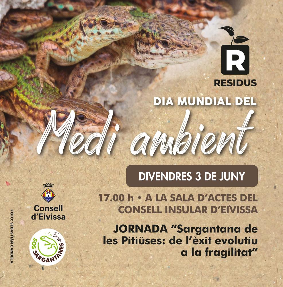Imagen El Consell d’Eivissa celebrará el Día del Medio Ambiente con una jornada dedicada a la lagartija