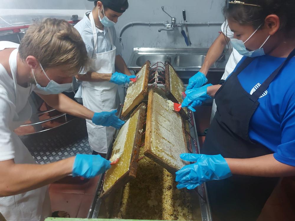 Imagen Alumnos de cocina y gastronomía del IES Sa Serra conocen cómo se produce la miel de Eivissa