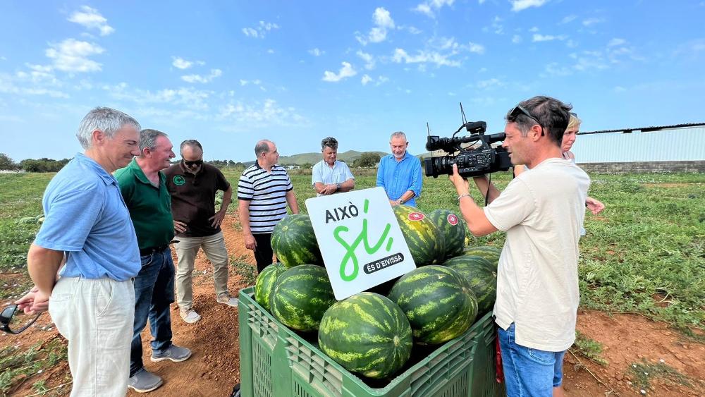 Imagen L’inici de la campanya de la xíndria augmenta en un 55% les seues vendes