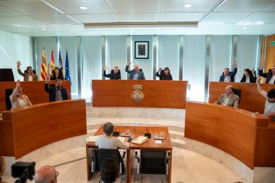 Imagen El Consell d’Eivissa eleva al Parlament de les Illes Balears la proposta...