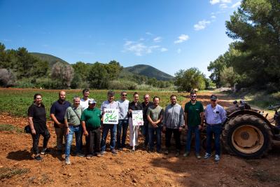 Imagen Arranca la campanya de patata vermella a Eivissa amb més de 136 tones de...