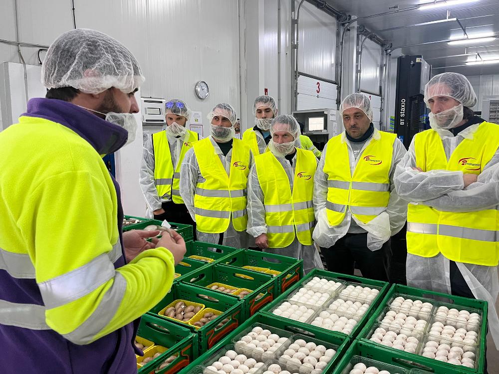 Imagen El Consell d’Eivissa organitza un viatge formatiu a Castilla la Mancha per a agricultors de l'illa