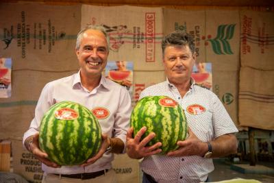 Imagen Es presenta la campanya de collita de la xíndria d’Eivissa al Mercat Nou