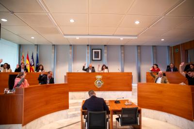 Imatge El Ple del Consell d’Eivissa aprova una moció de suport als treballadors...