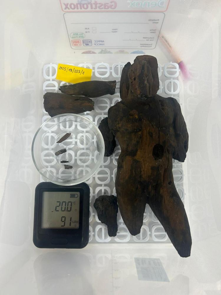 Imagen El Consell d’Eivissa i el Museu Arqueològic es coordinen per garantir la conservació de les troballes de fusta i cuir que provenen de la intervenció arqueològica d’un solar a Vila